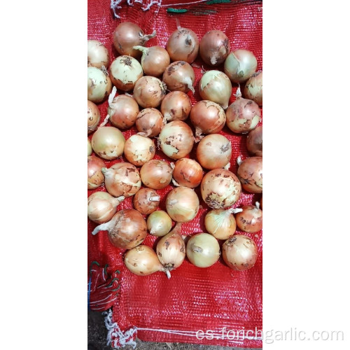 Nueva cosecha fresca de cebolla amarilla 2019